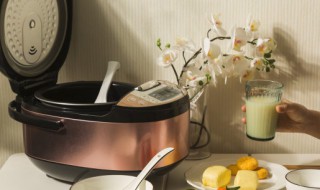 电饭煲什么内胆好 电饭煲内胆什么材质的好而且健康