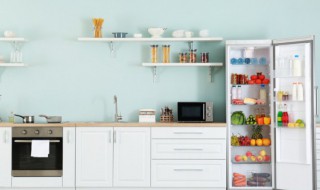 什么是冰箱(什么是冰箱什么是冰柜)