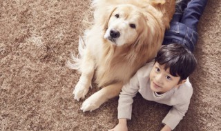 小狗起名字招财霸气 小狗起名字招财霸气男