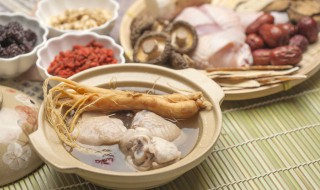 海底椰炖鸡汤的做法(海底椰煲鸡汤的做法)