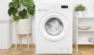 自己怎么清洗洗衣机(自己怎么清洗洗衣机里面)