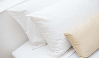 皮床怎么清洗 皮床怎么清洗皮床清洗技巧