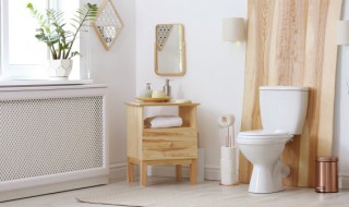 如何挑选智能马桶（如何挑选智能马桶盖 5个注意事项）