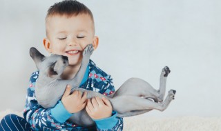 仙气十足的宠物名字 宠物可以叫什么名字?超仙气