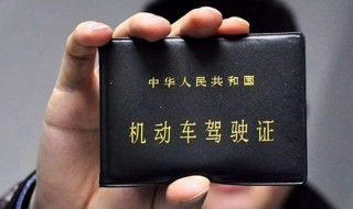 怎么查询有没有驾驶证(怎么查询自己有没有驾驶证)