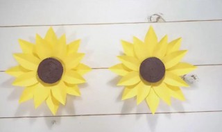 如何制作向日葵标本 向日葵如何做成标本