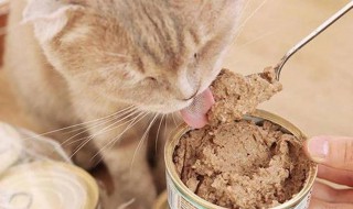 家庭自制猫罐头做法（家庭自制猫罐头做法窍门）