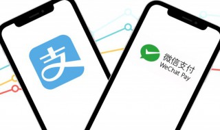 支付宝登录密码怎么改 支付宝登录密码怎么改成指纹