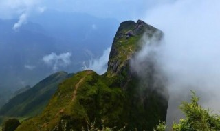 鸡公山海拔多少米 鸡公山海拔多少米高