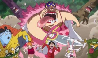 海贼王大妈篇剧情概括 海贼王大妈篇结局是什么样的