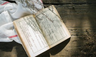 形容人年轻的四字词语有哪些（形容人很年轻的四字词语）