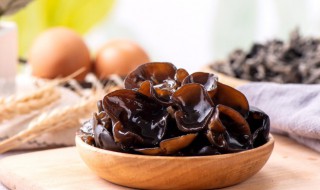 木耳炒肉放冰箱可以放多久（炒好的木耳炒肉放冰箱隔夜后还能吃吗?）