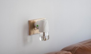 房间有蚊子放什么可以驱蚊（屋里放什么驱蚊）