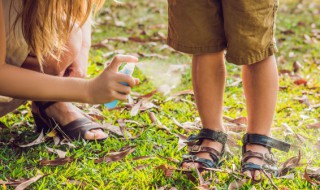 除了蚊香还有什么可以驱蚊（蚊香除了驱蚊还能驱哪些虫?）
