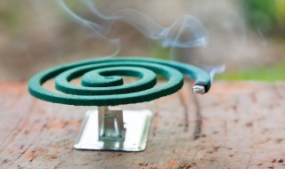 什么蚊香驱蚊效果最好（什么蚊香驱蚊效果最好,对婴儿无害）