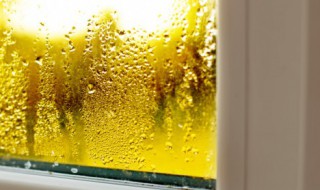 怎么清洗加湿器心 加湿器怎么保养