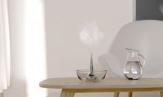 怎么选择加湿器（家庭用怎么选择加湿器）