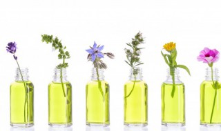 衣服上喷香水的正确方法(喷香水喷衣服上正确的方法)