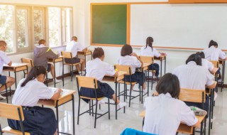 罗组词有哪些 杜组词有哪些