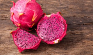 火龙果怎么长的 火龙果怎么长的视频