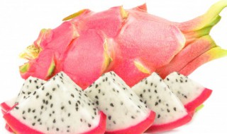 火龙果怎么长出来的 火龙果怎么长出来的?