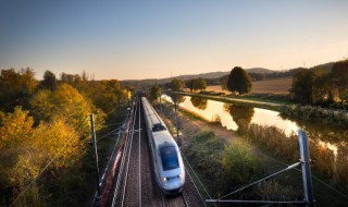 高铁怎么看座位号（高铁怎么看座位号有没有人）