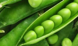 嫩豌豆怎么保存才新鲜（新鲜豌豆如何保鲜）