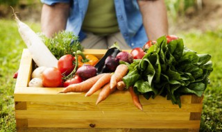 西红柿能保存多久（西红柿怎样能保存的时间长些）