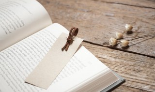 袍的拼音和组词（袍的拼音和组词组）