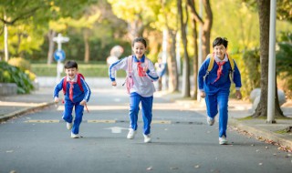 泰组词拼音（迫组词拼音）