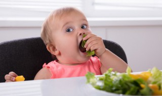 张姓好听稀少独特的名字（张姓好听稀少独特的名字女孩鸡年05年）