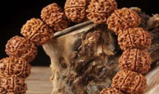 金刚菩提裂开了正常吗 金刚菩提怎么会开裂