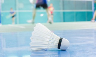 春节打羽毛球祝福语 打羽毛球比赛祝福语