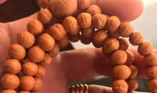 金刚菩提上油了怎么干（金刚菩提上完油怎么处理）