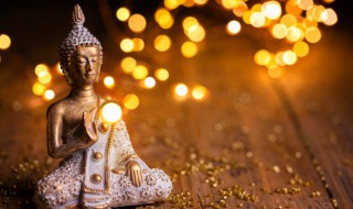 凤眼菩提寓意功效 凤眼菩提有什么功效