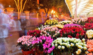 花叶子卷怎么办（盆花卷叶子怎么办）