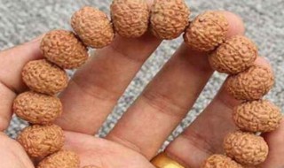 金刚菩提裂了会碎吗（金刚菩提子开裂后会碎吗?）