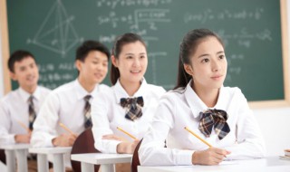 怂组词（怂组词语有哪些词语）