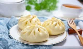 菜包子要蒸多久才熟（菜包子要蒸多久才熟了）