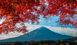 出国去日本旅游需要注意什么（去日本旅游需要具备什么条件）