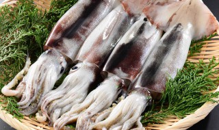 墨鱼清蒸多久最好吃（蒸墨鱼多少分钟最好）