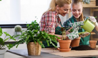陆地上哪些植物在水里也可以生长 哪些水生植物可以在陆地生活