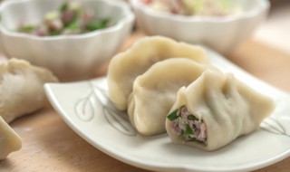 狗能吃韭菜鸡蛋饺子吗 狗能吃韭菜鸡蛋的饺子吗