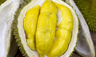 菠萝蜜与榴莲谁是水果之王 菠萝蜜是水果之王还是榴莲