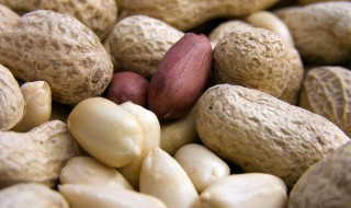 立夏播种花生好吗 立夏种的花生什么时候成熟