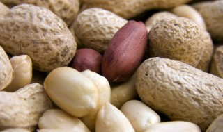 北方立夏节可以种植花生吗 夏至可以种花生吗