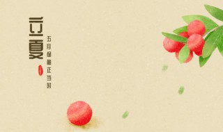 立夏还能种五叶瓜吗 立夏种什么瓜