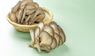 素炒蘑菇怎么做好吃（素炒蘑菇怎么做好吃还简单）