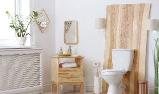 卫生间吊顶为什么会有异味 卫生间吊顶有味道