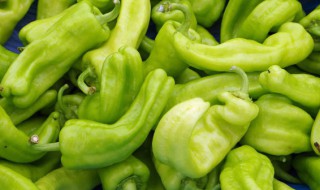 立夏种什么 立夏种什么农作物最合适